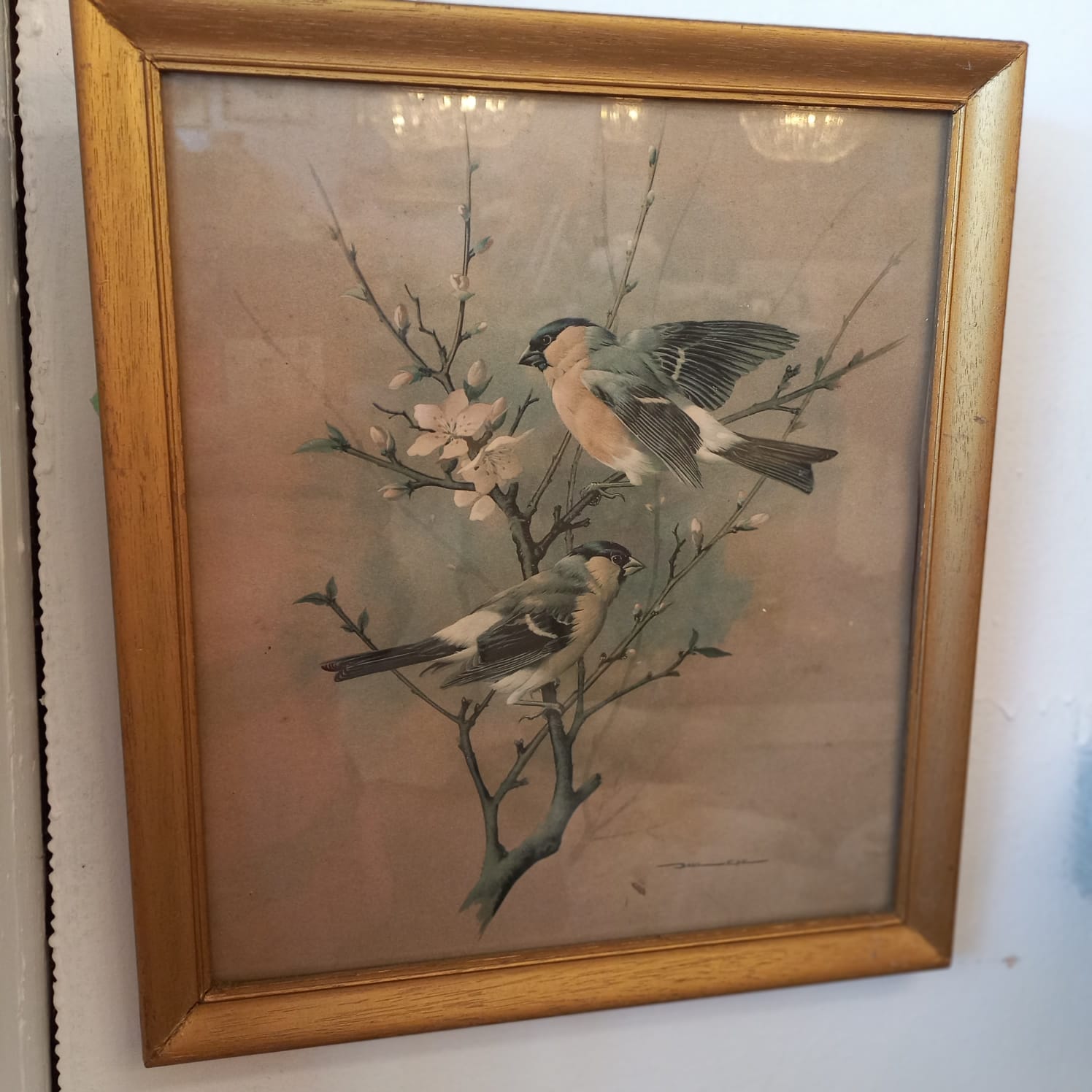 The main image for this shop item