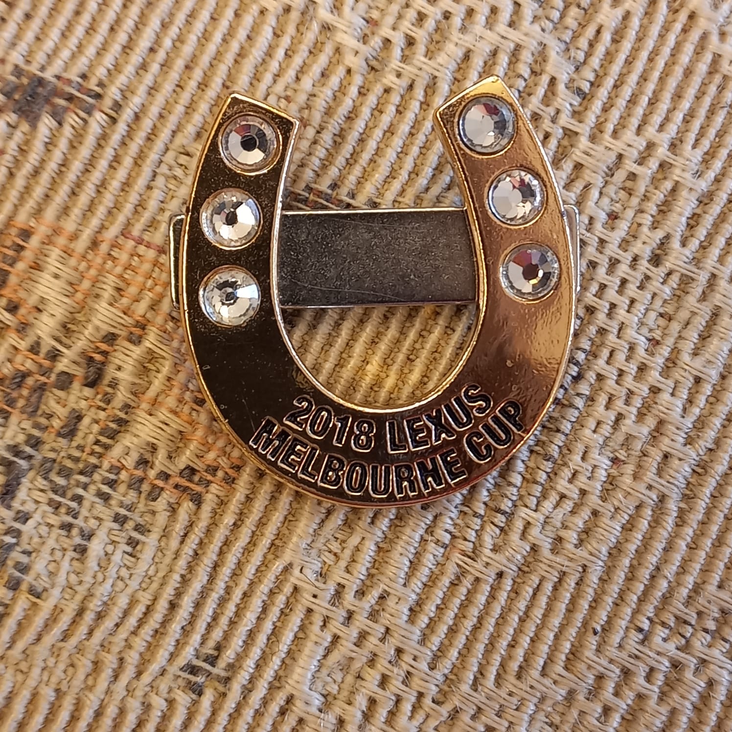 The main photo for Magnatised Melbourne cup tie pin