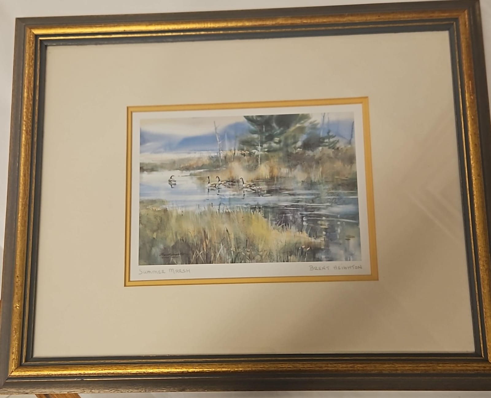 The main photo for /Assets/img/items/a8845932-c2c6-413e-8840-787375c3692c_a31a14d2-cbaf-4647-9ce6-52de0ab7496b.jpeg