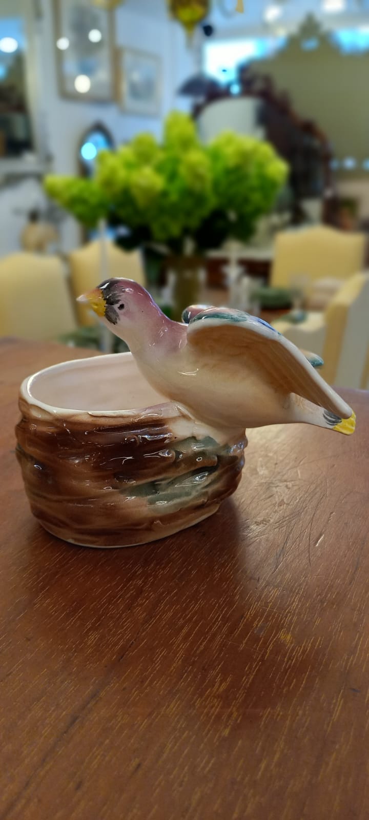 The main image for this shop item