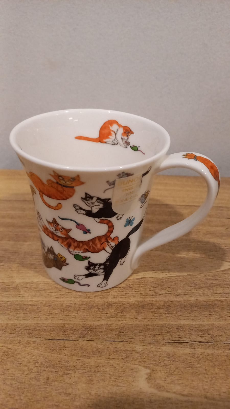 The main photo for Cats galore mug by Dunoon made in England
